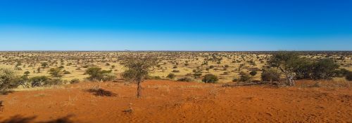 africa namibia desert