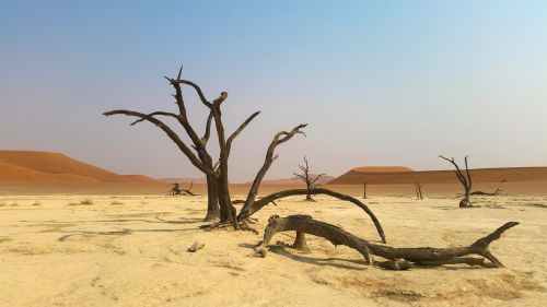 africa namibia landscape