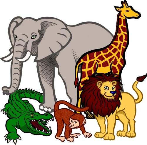 africa animal animals