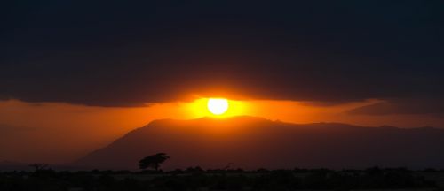 africa sunset safari