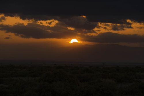 africa safari sunset