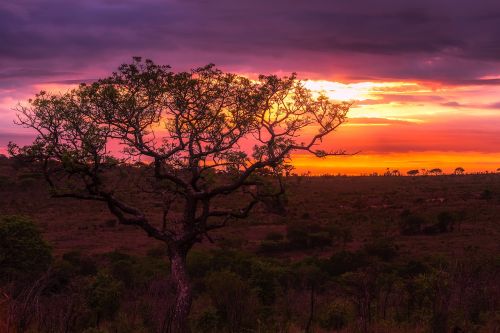 africa sunset dusk