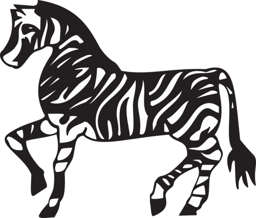 africa african animal