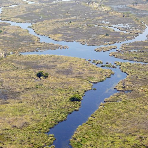 africa oka okavango delta