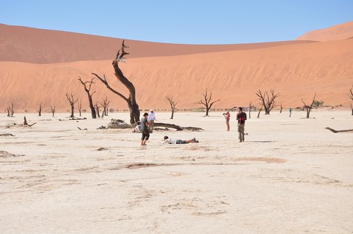 africa  desert  namibia