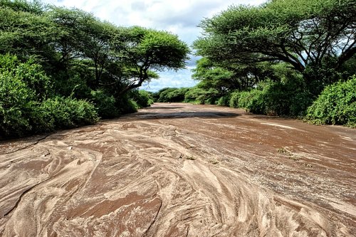 africa  river  water