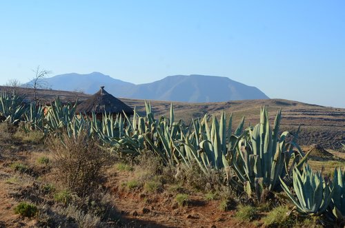 africa  lesotho  landscape