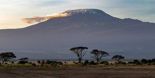 africa  kenya  amboseli national park
