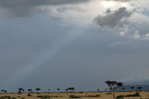 africa desert landscape