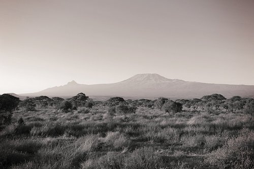 africa  kilimanjaro  kenya