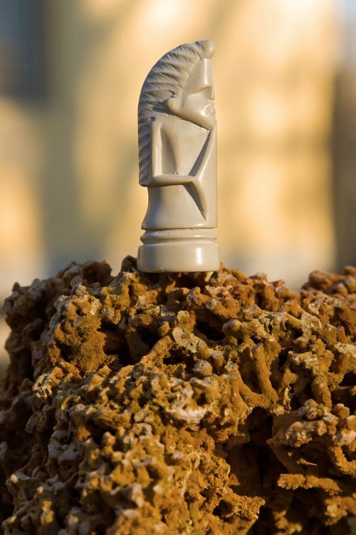 african chess chess figure