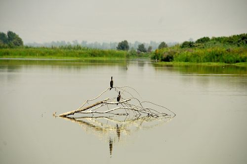 agamon lake hahula