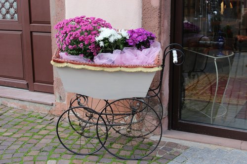 age stroller  floral decorations  invitation