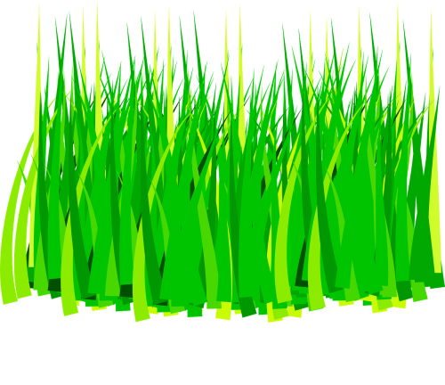 agriculture grass green