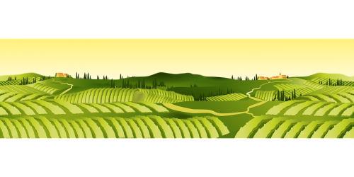 agriculture hills landscape