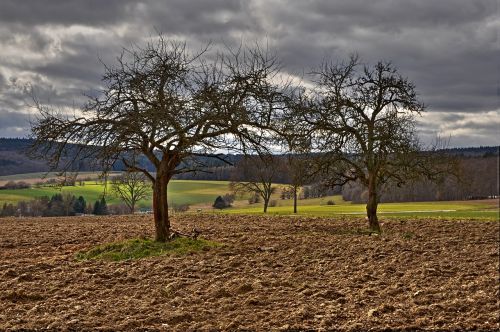 agriculture field arable