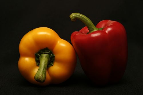 agriculture bell peppers capsicum