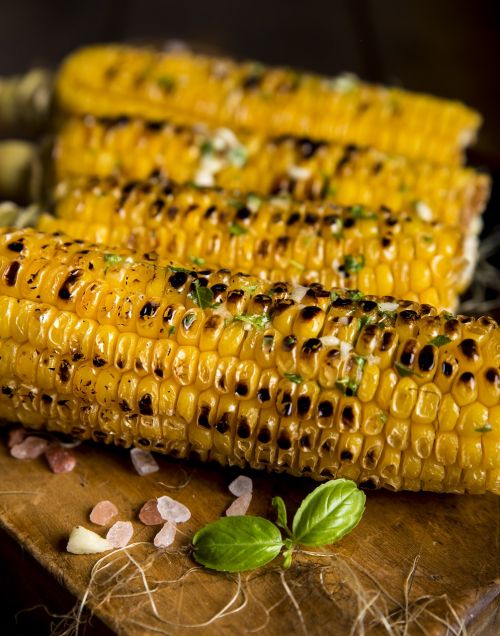 agriculture close-up corn