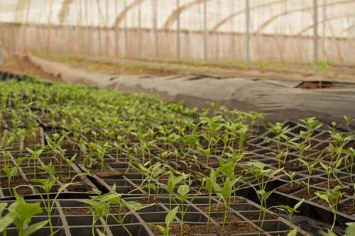 agriculture bio farm