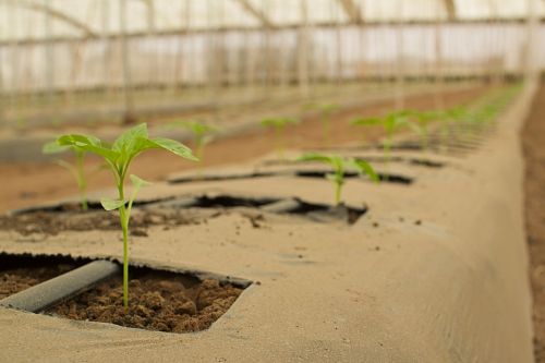 agriculture bio farm