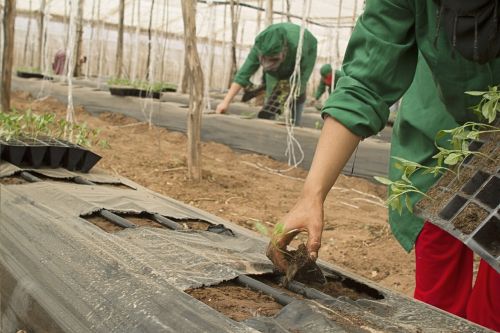 agriculture bio farm