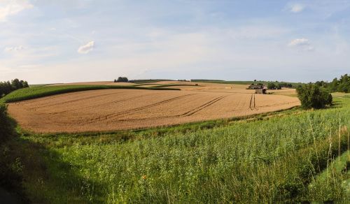 agriculture fields grain