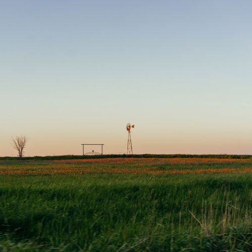 agriculture landscape field