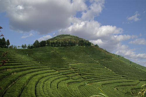 agriculture landscape hill
