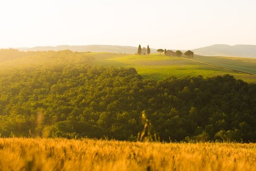 agriculture  field  landscape