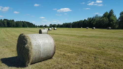 agriculture  landscape  hay