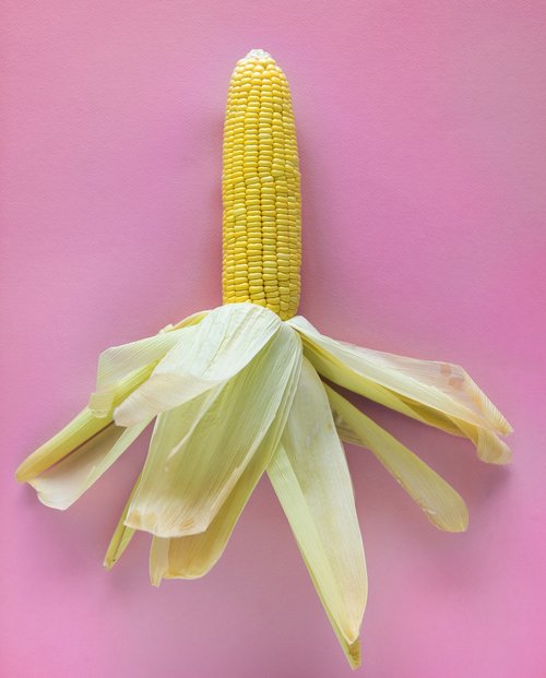 agriculture  corn  delicious