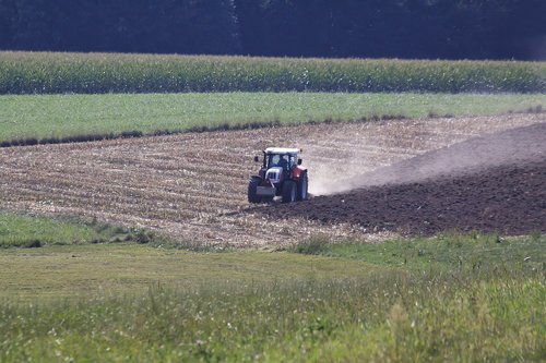 agriculture  bauer  tractor