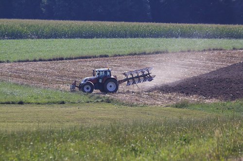 agriculture  bauer  tractor