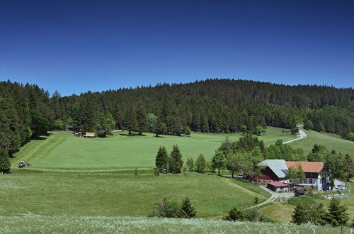 agriculture  farm  landscape