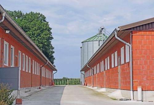 agriculture today poultry large stables