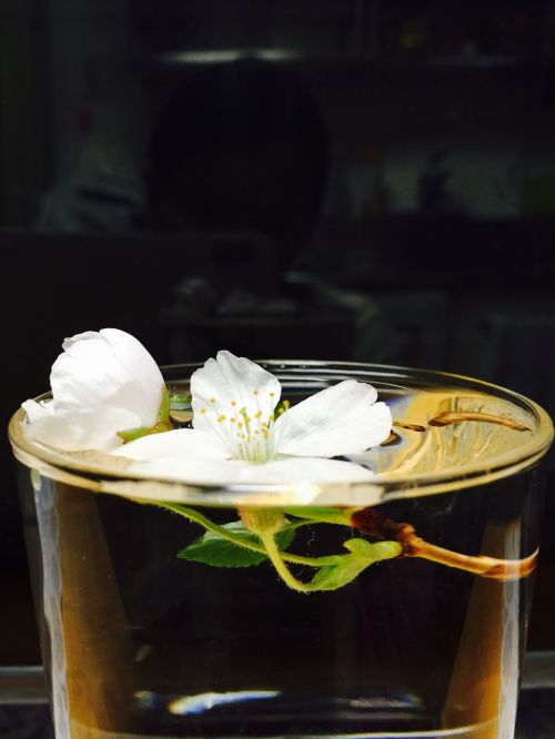 agua glass flower