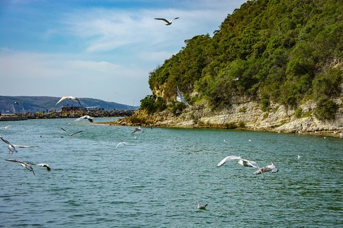 ağva  marine  nature