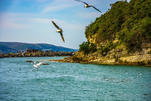 ağva  marine  nature