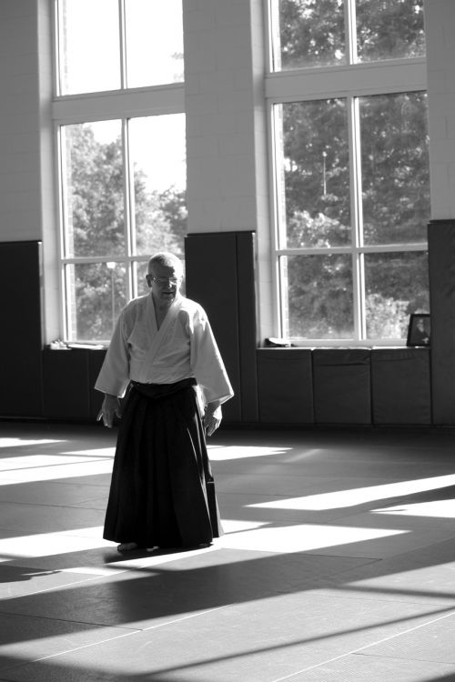 aikido martial arts self-defense