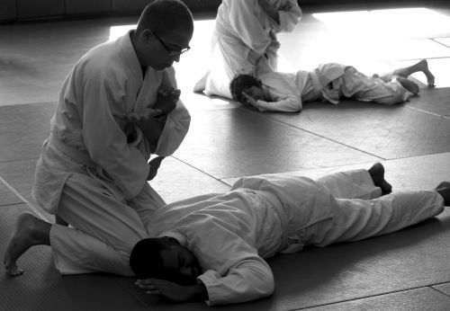 aikido martial arts self-defense