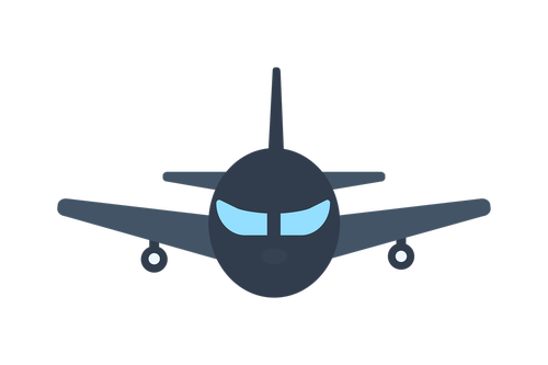 air  plane  flight