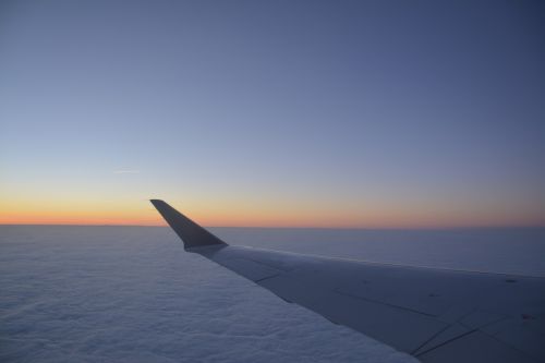 aircraft wings flight