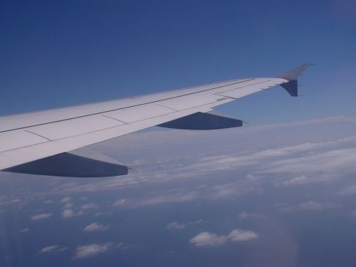 aircraft wing aircraft window