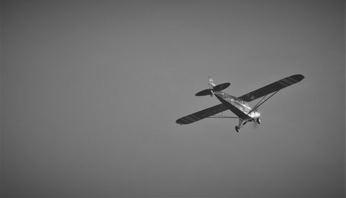 aircraft  black and white  aerial view