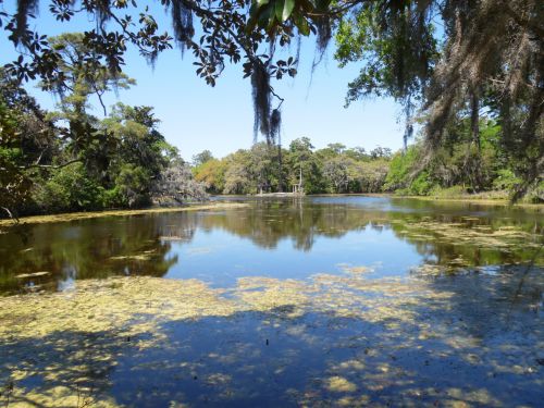 Airlie Pond