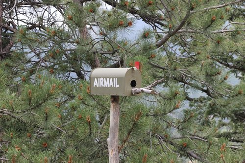 airmail  snail mail  first class