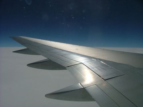 airplane wing blue