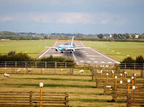 airplane aircraft airliner