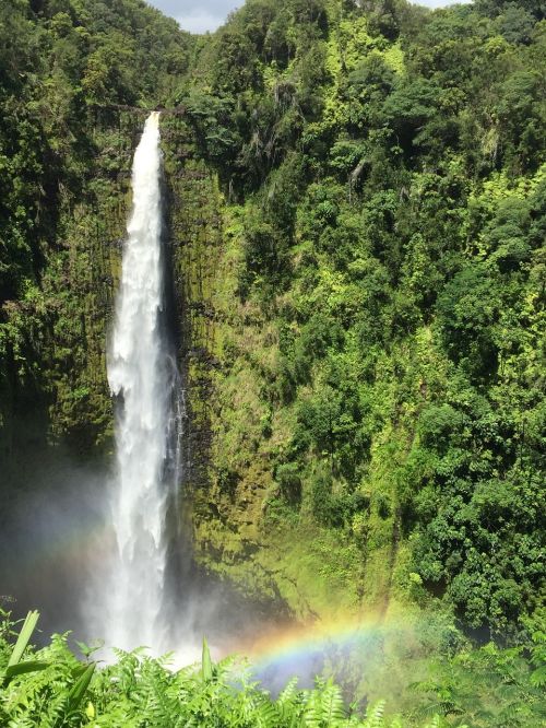 akaka falls hawaii big island