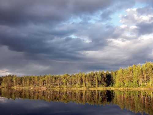 aklangen ringerike forest